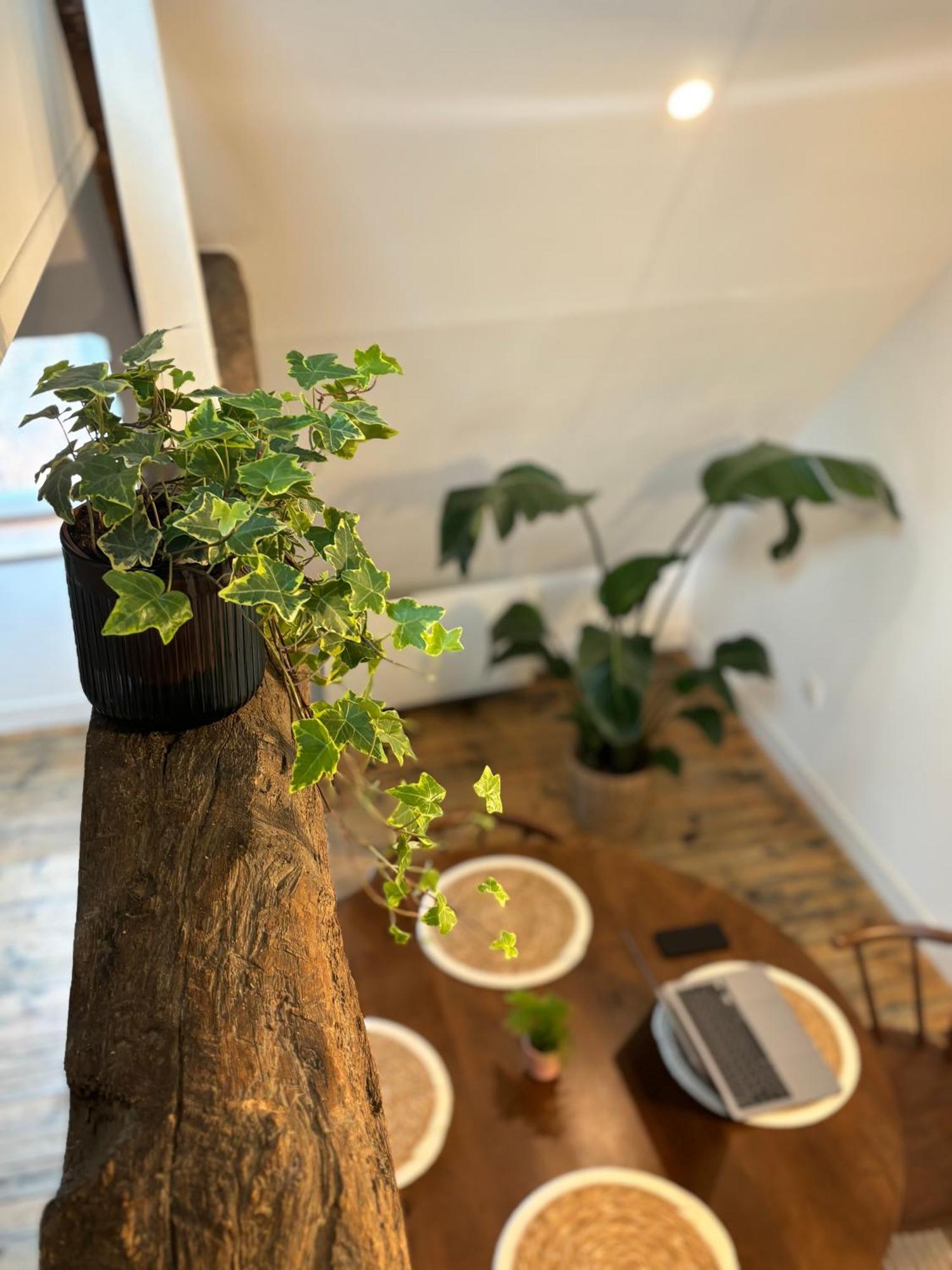 Apartament La Maison D'Aline Arras Zewnętrze zdjęcie